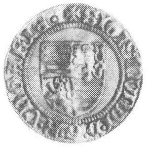 dukat Zygmunta I (1387-1437), Aw: Postać św. Władysława...