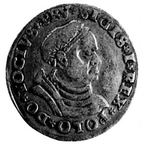 trojak 1529, Toruń, Aw: Popiersie i napis, Rw: Napis, K...