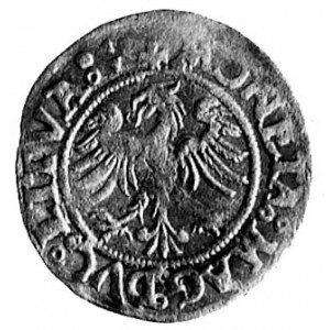półgrosz b. d., Wilno, Aw: Orzeł i napis, Rw: Pogoń i n...
