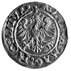 półgrosz 1545, Wilno, Aw: Pogoń i napis, Rw: Orzeł i na...