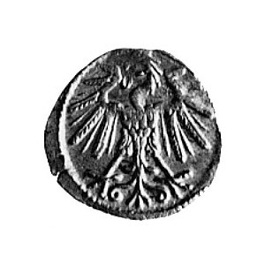 denar 1551, Wilno, j.w., Kop. I. 7., -RR-, H-Cz. 5669 R...