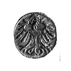 denar 1552, Wilno, j.w., Kop. I. 8., -RR-, H-Cz. 475 R2...