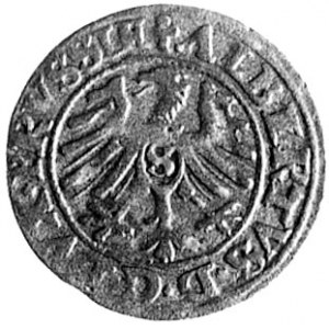 szeląg 1552, Królewiec, Aw: Orzeł i napis, Rw: Monogram...