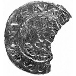 zespół 9 monet z XI wieku będących w obiegu na ziemiach...