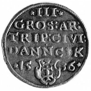 trojak 1536, Gdańsk, Aw: Popiersie i napis, Rw: Napis p...