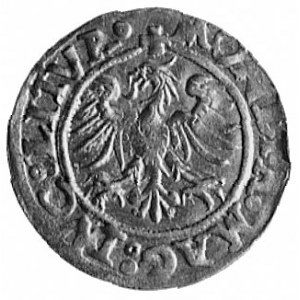 półgrosz 1545, Wilno, Aw: Pogoń i napis, Rw: Orzeł i na...