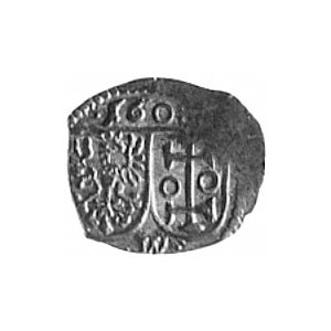 denar 1608, Wschowa, jednostronny. Tarcze herbowe, Kop....
