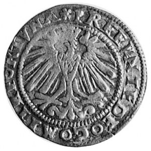 grosz 1569, Bielsko, Aw: Popiersie i napis, Rw: Orzeł g...