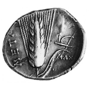 METAPONT, AR stater (330-300 p.n.e.), Aw: Głowa Demeter...