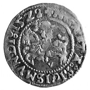 półgrosz 1528, Wilno, j.w., Kop.I.21a -RR-, T.30