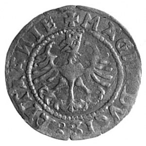 półgrosz 1529, Wilno, j.w., Kop.I.22 -RR-, T.40