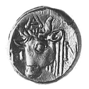 PANTIKAPEA, AE-17 (IV w. p.n.e), Aw: Głowa Pana w lewo,...