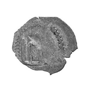 Witold 1401-1430, kopiejka, Aw: Włócznia, Rw: Kolumny G...