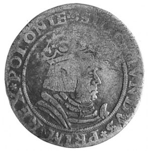 trojak 1528, Kraków, Aw: Popiersie i napis, Rw: Orzeł, ...