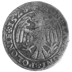 trojak 1528, Kraków, Aw: Popiersie i napis, Rw: Orzeł, ...