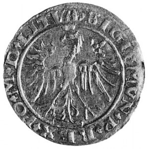 grosz 1536, Wilno, j.w., pod Pogonią litera I, Kop.I.2f...