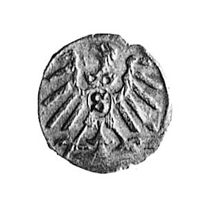 denar 1559, Królewiec, Aw: Orzeł, Rw: j.w., Kop.I.3 -rr...