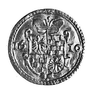 półdukat 1610, Złoty Stok, Aw: Tarcza herbowa i data, R...