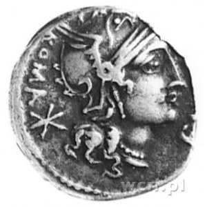 Sergia, M. Sergius Silus (około 116-115), denar, Aw: Gł...
