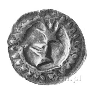Fryderyk II 1440-1470, brakteat, hełm, Bahr. 16, 0,20 g...
