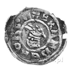 Albrecht III 1269-1300, denar, Aw: Margrabia na tle czt...