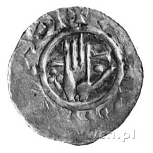 Bernhard II 1011-1059, denar, Aw: Dłoń, w otoku napis, ...