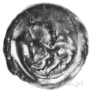 biskup Leo Thundorfer 1262-1272, denar, Aw: Lew św. Mar...