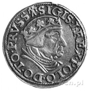 trojak 1538, Gdańsk, j.w., Kop.II.2-RR-, Gum.571