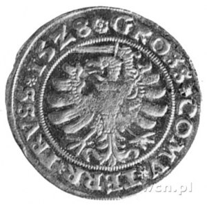 grosz 1528, Toruń, Aw: Popiersie i napis, Rw: Orzeł i n...