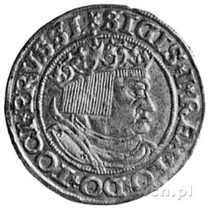 grosz 1532, Toruń, j.w., Kop.II.3, Gum. 528
