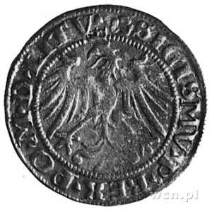 grosz 1536, Wilno, j.w., Kop.I.2f -R-, Gum. 517, T.7