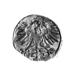 denar 1550, Wilno, Aw: Orzeł, Rw: Pogoń, Kop.1.6 -RRR-,...