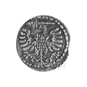 denar 1585, Gdańsk, Aw: Orzeł, Rw: Herb Gdańska, Kop.1,...