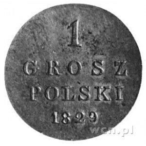 1 grosz 1829, Petersburg, Aw: Orzeł carski, Rw: Nominał...