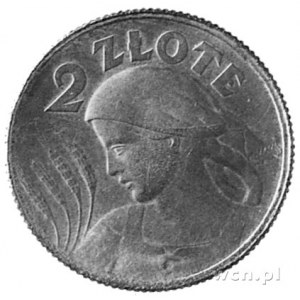 2 złote 1924, pochodnia, rzadka w tym stanie zachowania