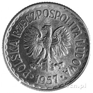 1 złoty 1957, nakład 5 sztuk; moneta nie spotykana w ha...