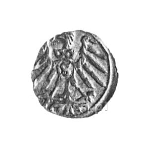 denar 1559, Królewiec, Aw: Orzeł, Rw: Litera A z herbem...