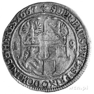 ort 1667, Królewiec, j.w., Schr.1624, bardzo rzadki
