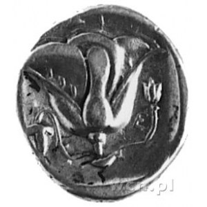 KARIA- Rodos (387-304 p.n.e.), didrachma, Aw: Głowa Hel...