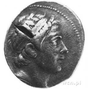 SYRIA- Seleucydzi, Seleukos III Keraunos (226-223 p.n.e...