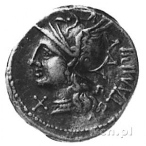 M. Baebius Q.f. Tampilus (137 p.n.e.), denar, Aw: Głowa...
