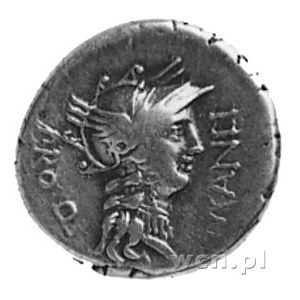 L. Manlius Torquatus (82 p.n.e.), denar, Aw: Głowa Romy...