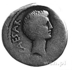 Marek Agryppa, denar (38 p.n.e.), Aw: Głowa Augusta w p...