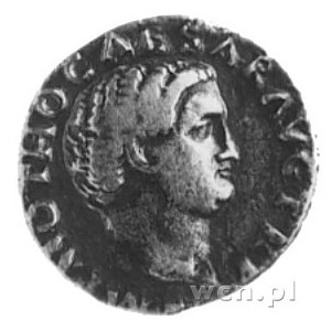 denar, Aw: Głowa w prawo i napis, IMP OTHO CAESAR AVG T...