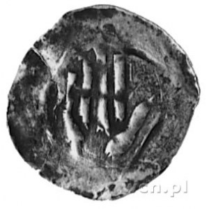 halerz (XIV w.), Aw: Ręka, Rw: Krzyż, Bonhoff 1734