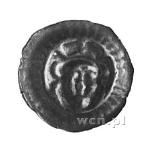 brakteat (1, poł. XV w.): Głowa króla w koronie, 0.26 g...