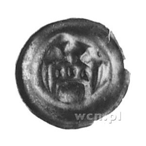 brakteat (1. poł. XIV w.), Waschinski 116a