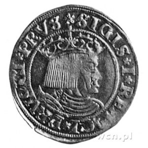 grosz 1531, Toruń, Aw: Popiersie i napis: SIGIS I REX C...