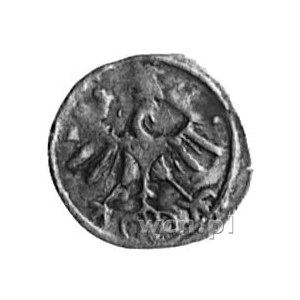 denar 1555, Wilno, Aw: Orzeł, Rw: Pogoń, Kop.I. 11 -r-,...