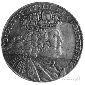 ort 1755, Lipsk, j.w., inne gałązki wokół tarczy